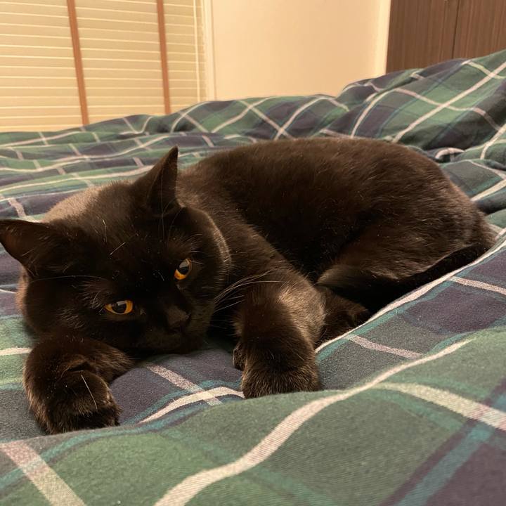 9549a7aa b968 4cea 9df2 0eb0a80d478f 1613121841506