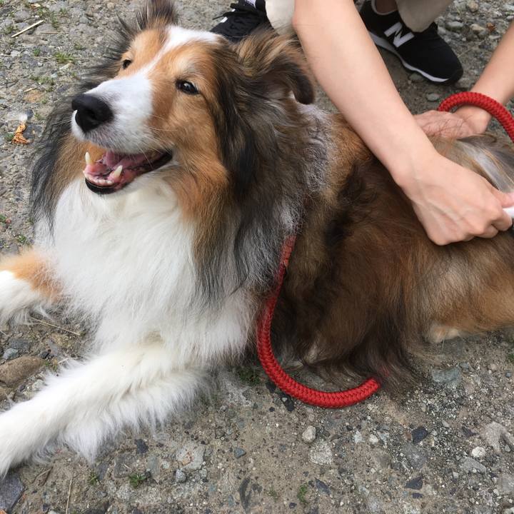 9549b737 b3ba 4dba a750 9e80376456e4 1570620609303