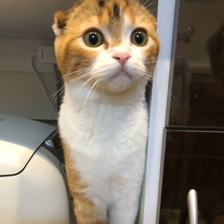 9549cff5 42e2 430d 947c f1b8da94ee66 1513937530341