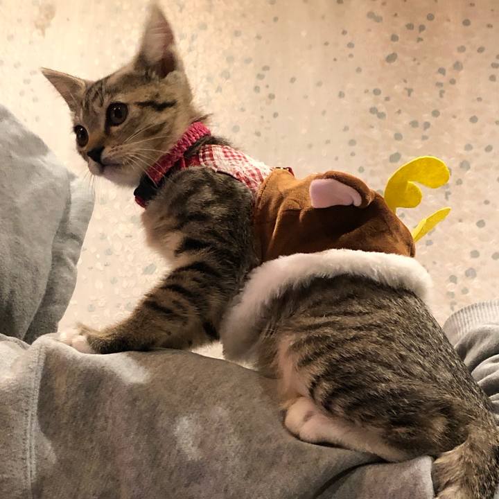 9549d111 9ddf 4d86 b1cd 41dc5bcf6903 1544354074474