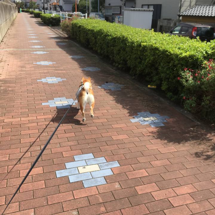 9549f6e8 31f0 4112 a8bd 9ed935a2a696 1540005106450