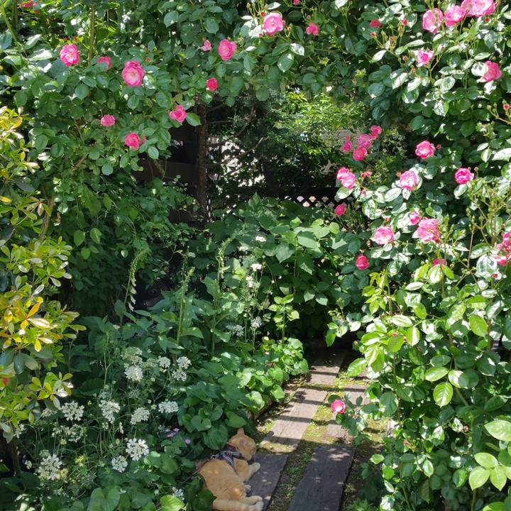 954a2015 b8c7 4120 8f48 ba29d081586b 1527299134919