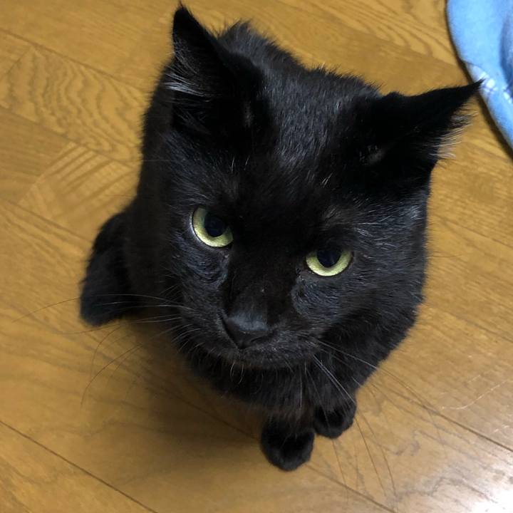 954a2d4c 2ddc 4b43 96c4 e84a2f00a04b 1568206375468