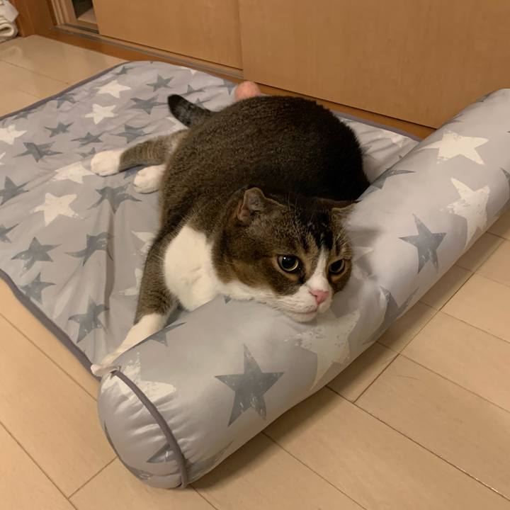 954a8305 e2d0 4f82 b055 20abcd4e3569 1660394447327