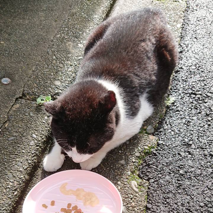 954ab751 8981 4f88 85b5 f64707ebead1 1625471318900