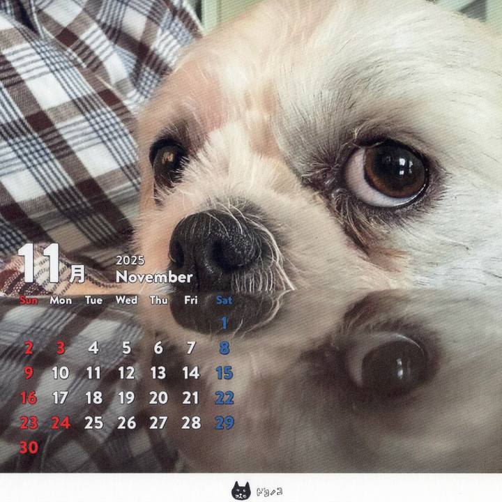 954ad93e 41f8 4523 a7f0 e396fa847bd3 1761949461851