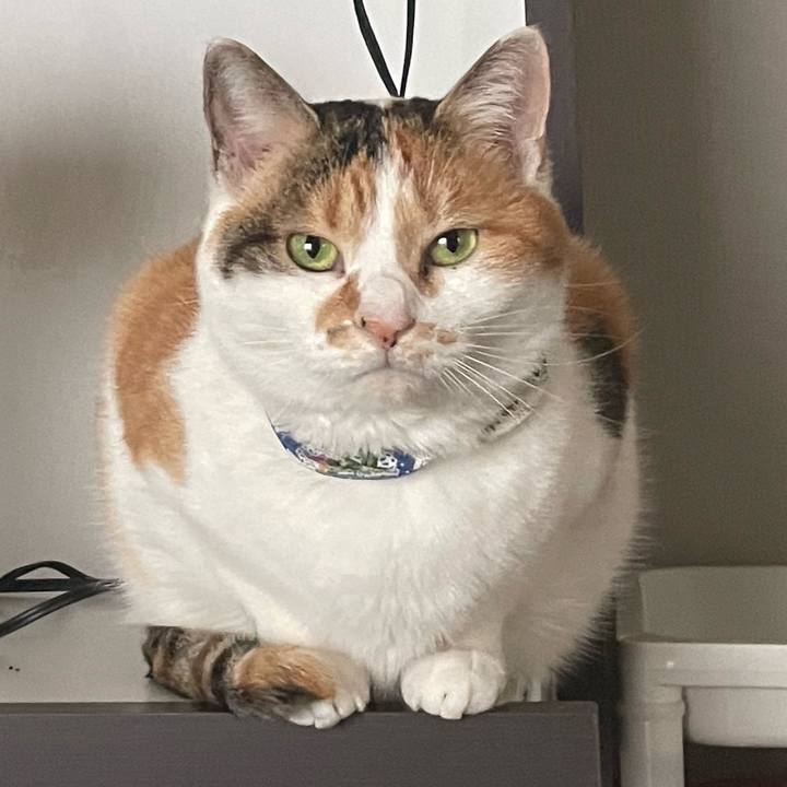 954b29f9 37c4 4b4f 9a45 c94d286d896a 1709730779038