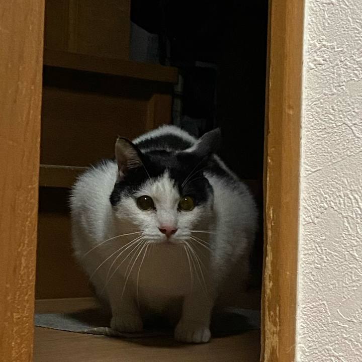 954b6f7f 06dd 489a 9145 07d1a7cda231 1583841059083