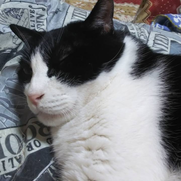 954b70a7 149a 43f2 92f9 aaab1ad8366b 1568513361827