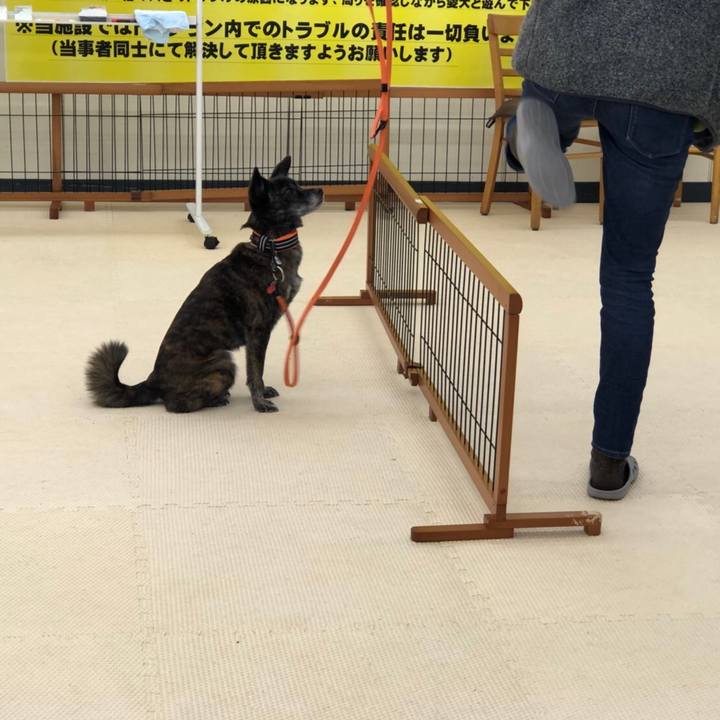 954b7bdd d591 474d be96 52cf4b724a18 1576898627126