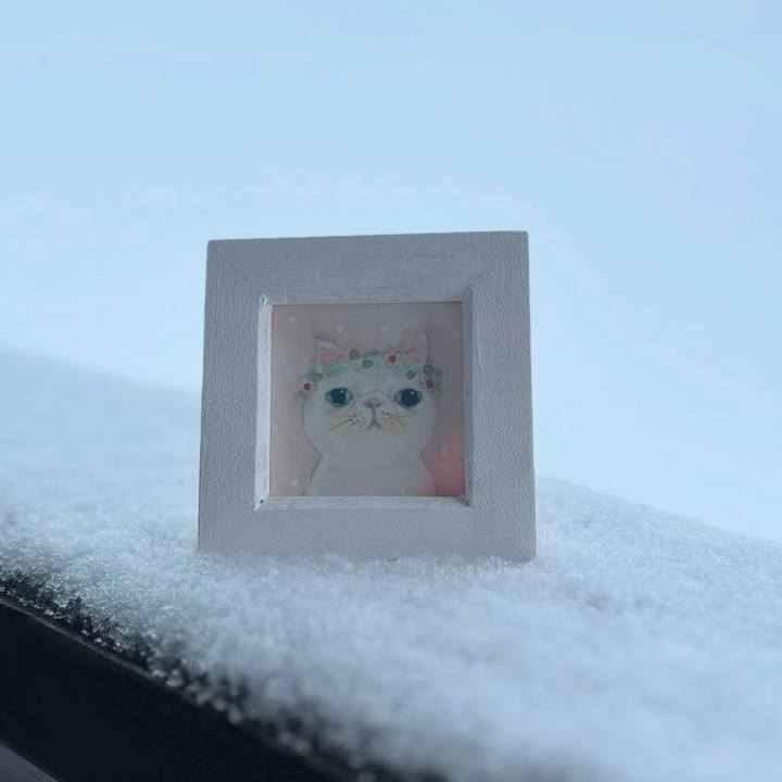 954bc9b7 0989 45d7 8c04 35bd7d2cb4e8 1736474115264