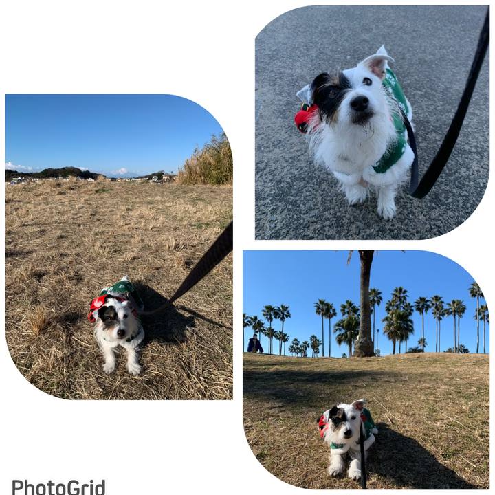 954bd502 83f4 44bb b25c f3cf5c988c66 1672709058512