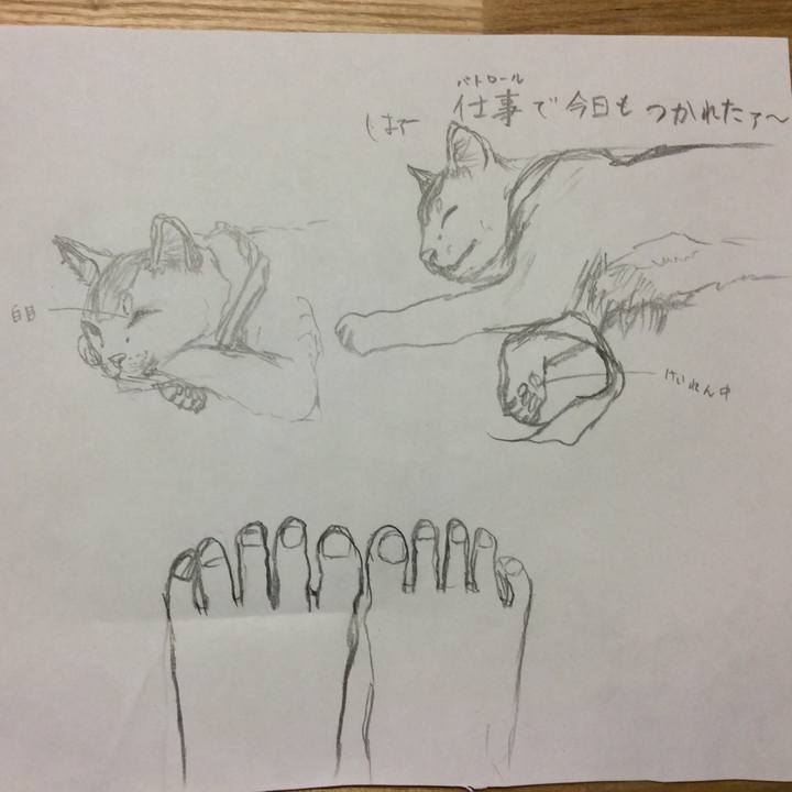 954c3529 2f82 4bd2 8a23 6237a3d82df2 1565515449212