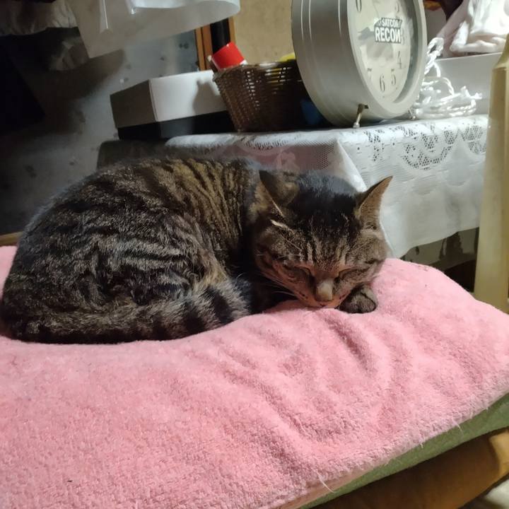 954c36b6 5f02 4d37 bd95 bf4b20e6051a 1678711142498