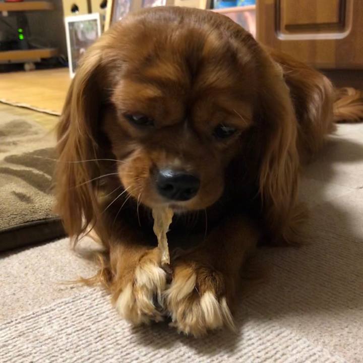 954c3ceb 2415 4286 adba 1b02b3880224 1559860236351