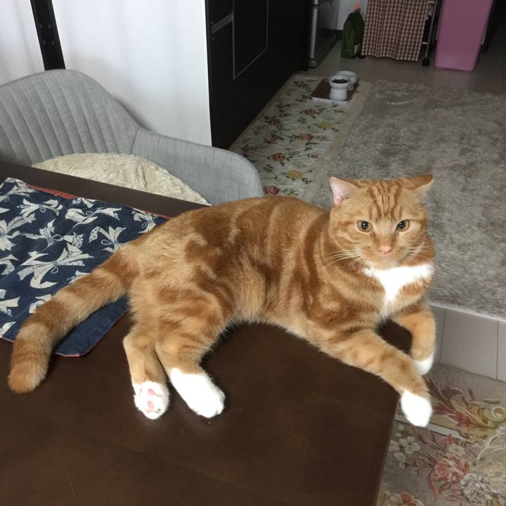 954c7040 52c7 4350 b319 c190b1eb424b 1508286010332