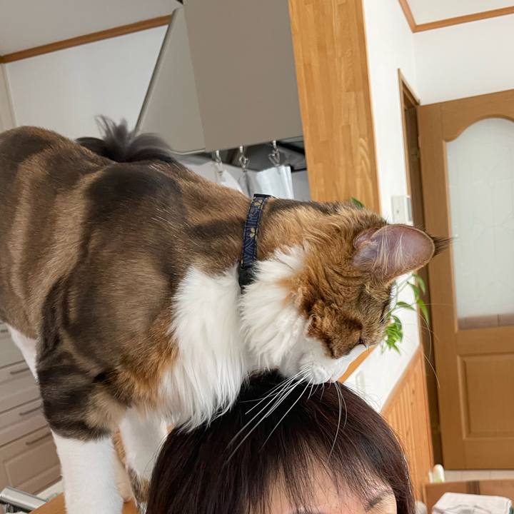 954c80d3 afa6 4961 b5d8 de37375f5cce 1660168528922