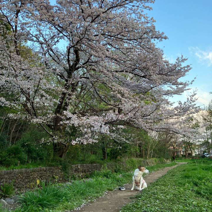 954cd4fb a648 4c0c 96d7 8fffba55e3c1 1680307236772