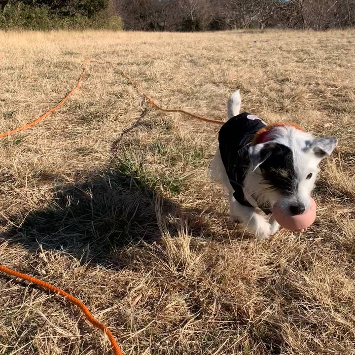 954cd97a 1c8e 4f0b 9f9b e8ae6c21cfc7 1739060430733