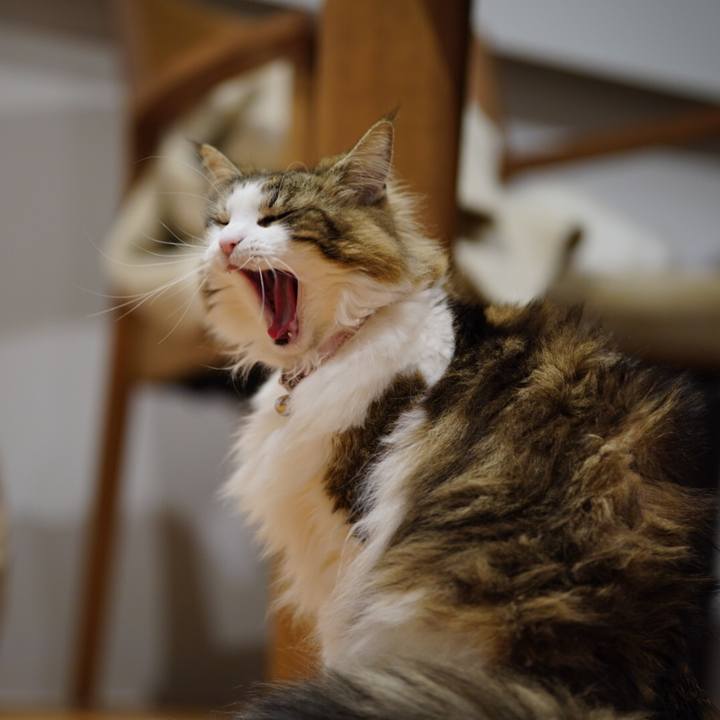 954d0896 1545 4e20 8460 55736120d93a 1677766817052