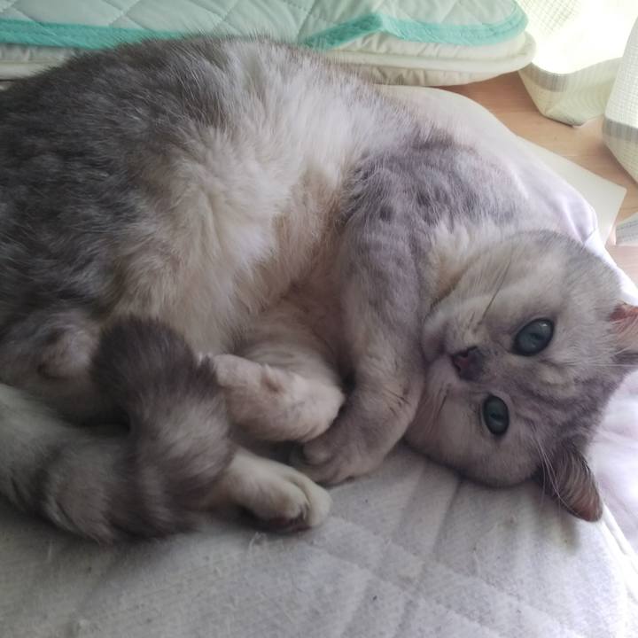 954d0a57 195a 433d afce 7a91bd11af5e 1524701407690