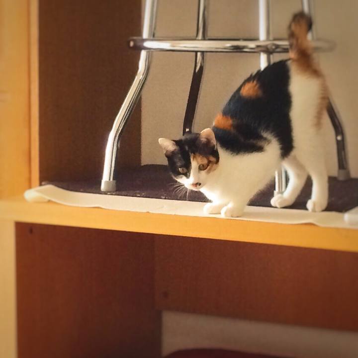 954d0f40 25f4 4cea 84a3 1541b6b03b53 1591023089154