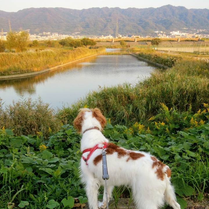 954d15c9 3df4 4829 b990 d660fa92a688 1539946005619