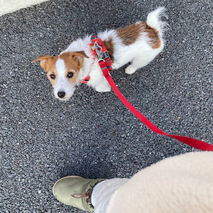 954d25bf a4cd 4e6d 9259 bd0343160000 1738373451488