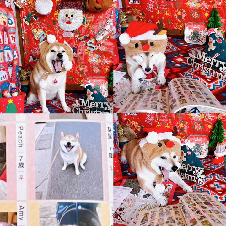 954d4d21 9875 4b86 a8ab c8a5eb2b0de1 1671075121656