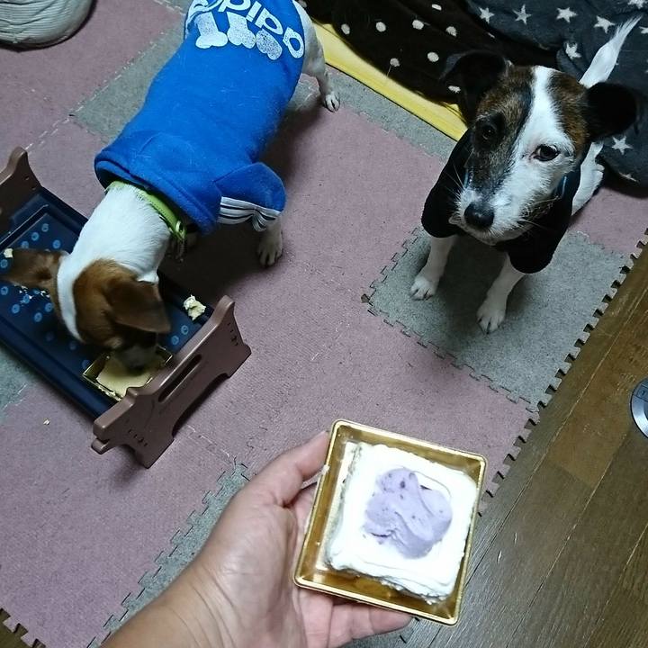 954d501c d317 4e9a b01e 04409881ad70 1548854244251