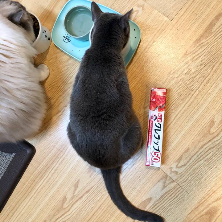 954d55a8 a6ae 4aff 98f9 fbf720978215 1584967885677