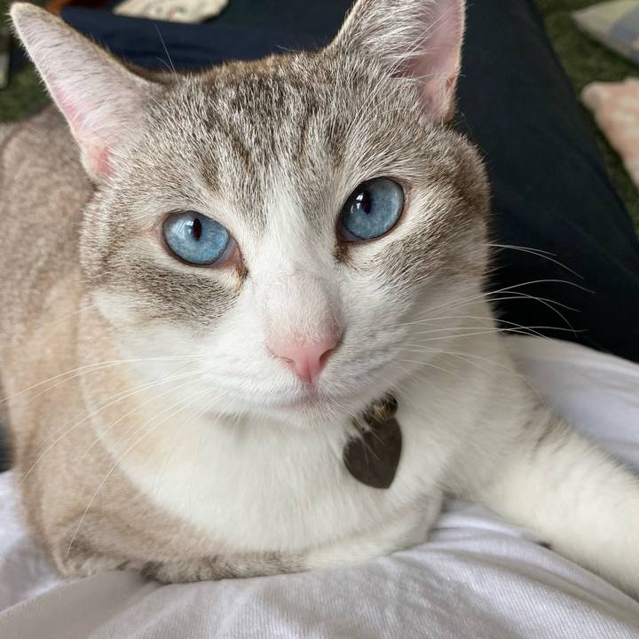 954d8599 590a 4c04 aa9e d5d8e1e5e7a5 1601173447601