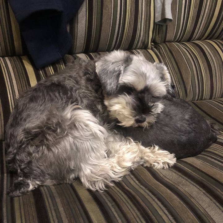 954d8795 bbaf 4ace 80a6 85c0da8977f5 1519825837722