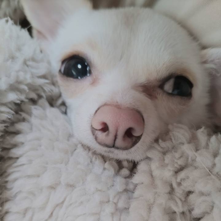 954dc93e fc2e 4aa5 950c 60cf5d812761 1736554887009