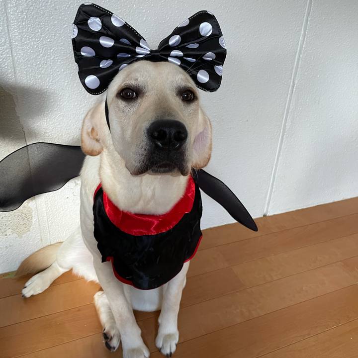 954dc9b8 cfbf 4a17 834f 5a307a3d0b2d 1631949108196