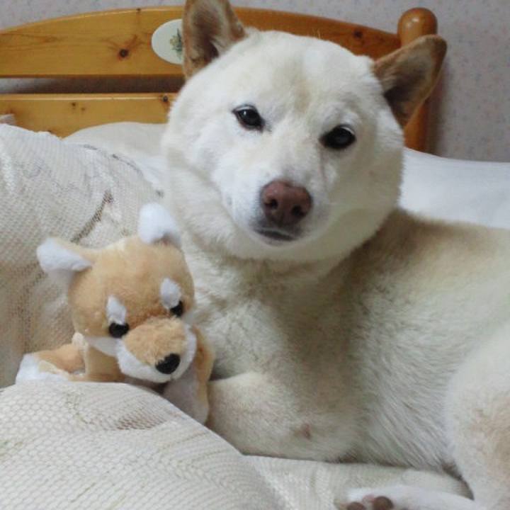 954dd246 9a40 40c1 b8ff 10ebbb6264d0 1680149672076