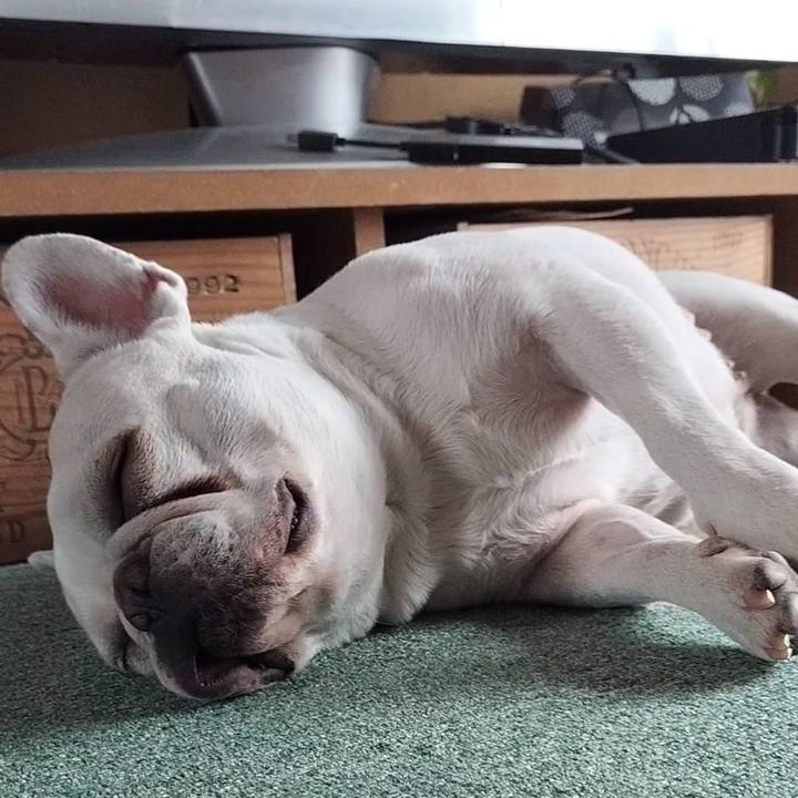 954dfc99 49b2 42db b30c cafed56db82e 1680237333029