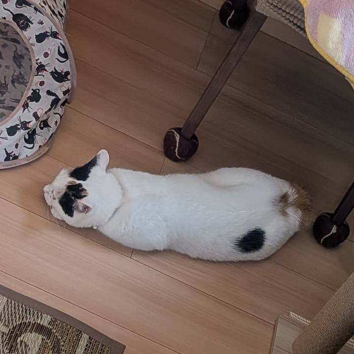 954e1b0e 7908 4236 a8e5 43e96421ce7e 1753402460900