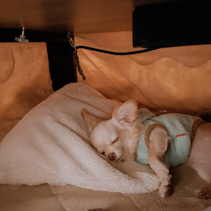 954e241d 43b0 489e 8ff9 cf7cb1c7ef65 1672894794559