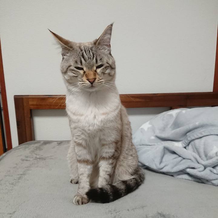 954e276b 9284 42b9 a8f8 791cf5b2ea28 1550744155521