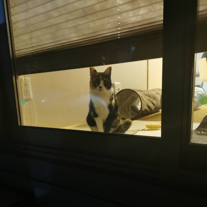 954e56b2 5209 49ed bae9 63300a478bb2 1673585259095