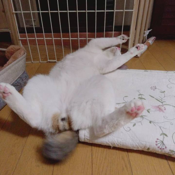 954e8e35 17f7 43f2 ac55 65f5f277c7d4 1674468534053