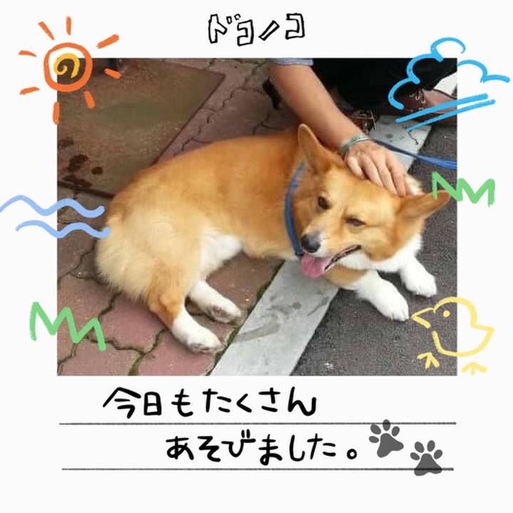 954ea842 f75f 45ed 8407 406cf4b432fc 1755346147779