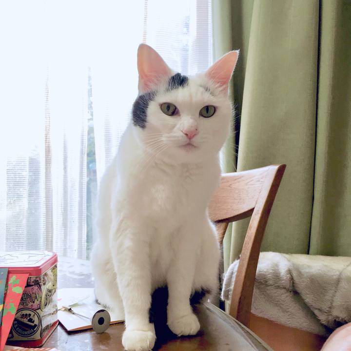 954ee95c cd99 41df b8e3 ceebb6483f1c 1570794373497