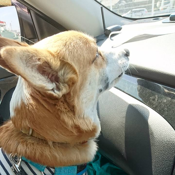 954f2aa8 0dcf 4830 a86c 64412f812f16 1584408900329