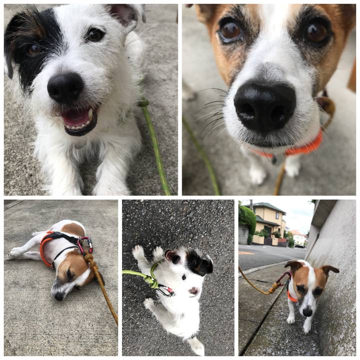 954f4136 7629 45ab af16 1e56e791c54e 1533632023196