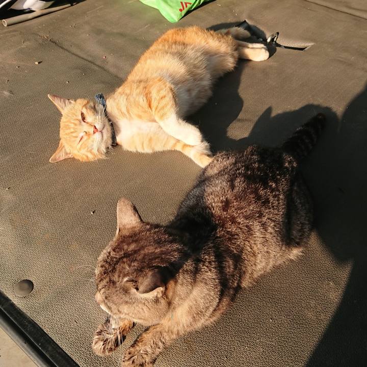 954f5875 cb4e 4ad3 bb83 2424b6b6308c 1558905176197