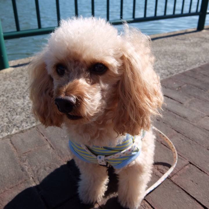 954faf26 f3e9 44c2 810d 0f37dd1597b3 1543969999430