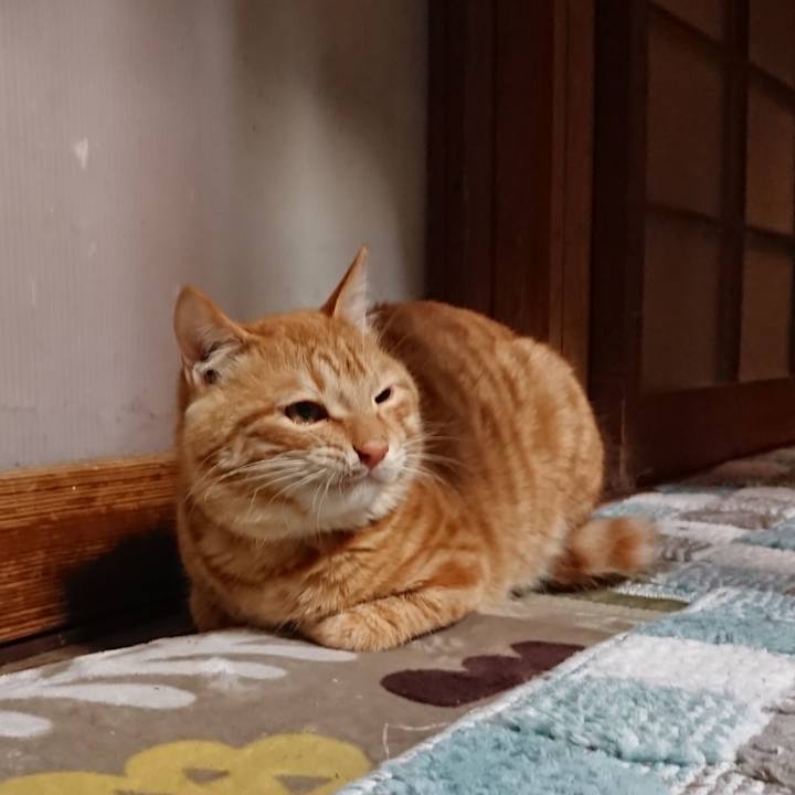 954fe451 bdaf 4d09 87eb 91fd9dcc9298 1640340582542