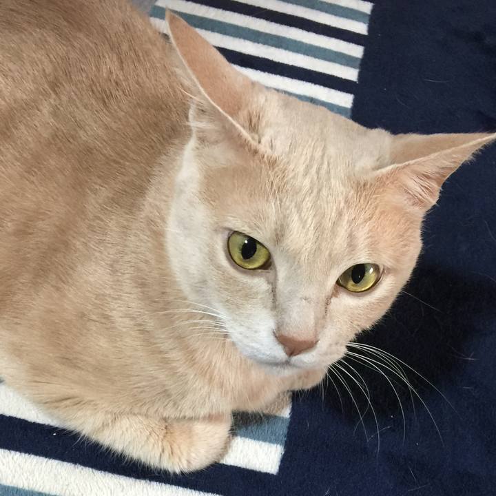 9550002b c41b 40aa b416 7875c0516ebc 1536019250957